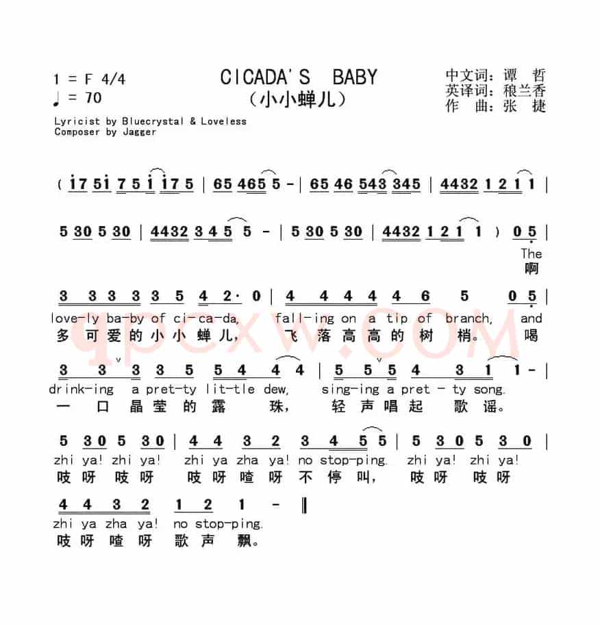 CICADA'S BABY（小小蝉儿）