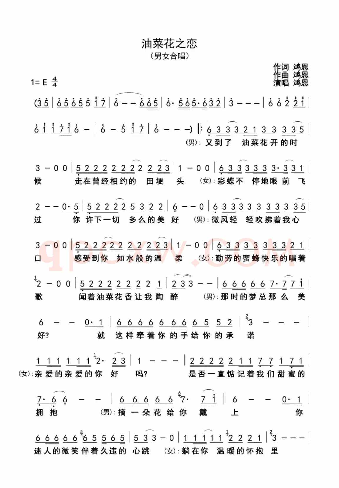 油菜花之恋