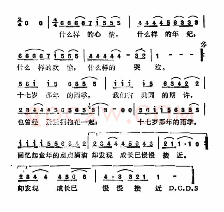 十七岁的雨季