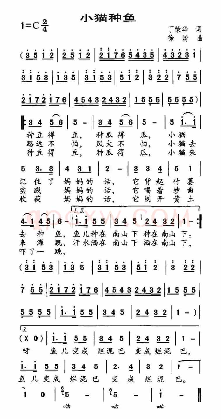 小猫种鱼