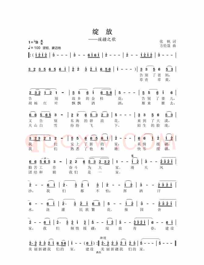 《绽放》（宁波援疆之歌）
