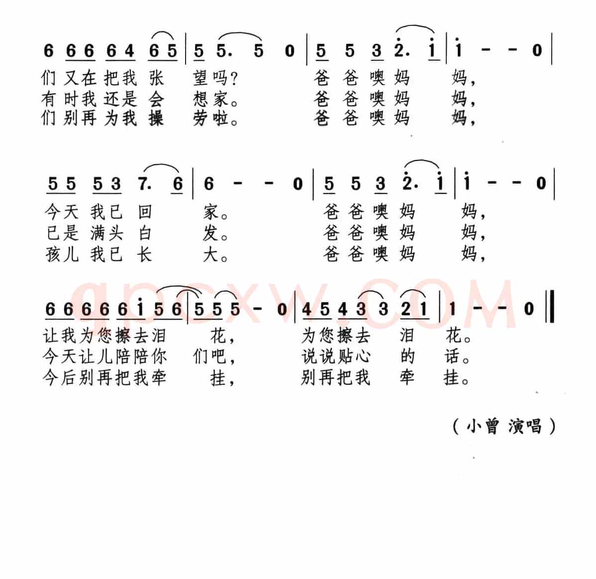 回家探亲