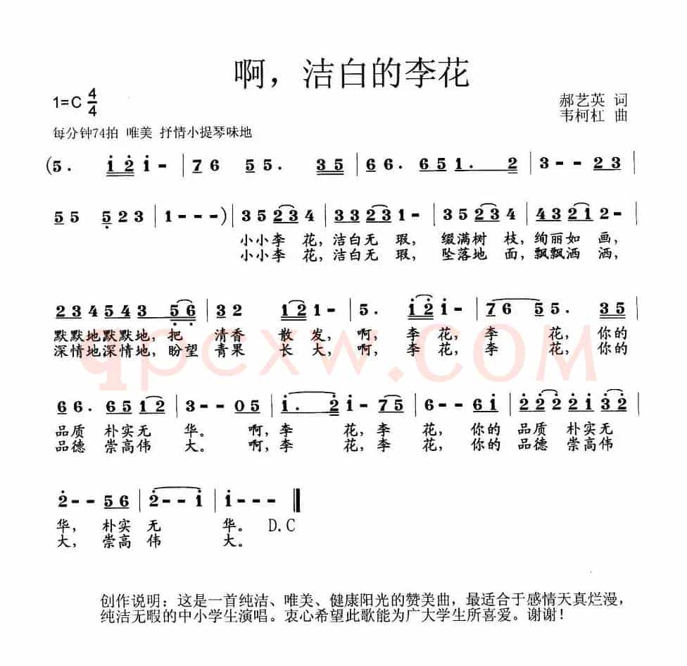 啊，洁白的李花