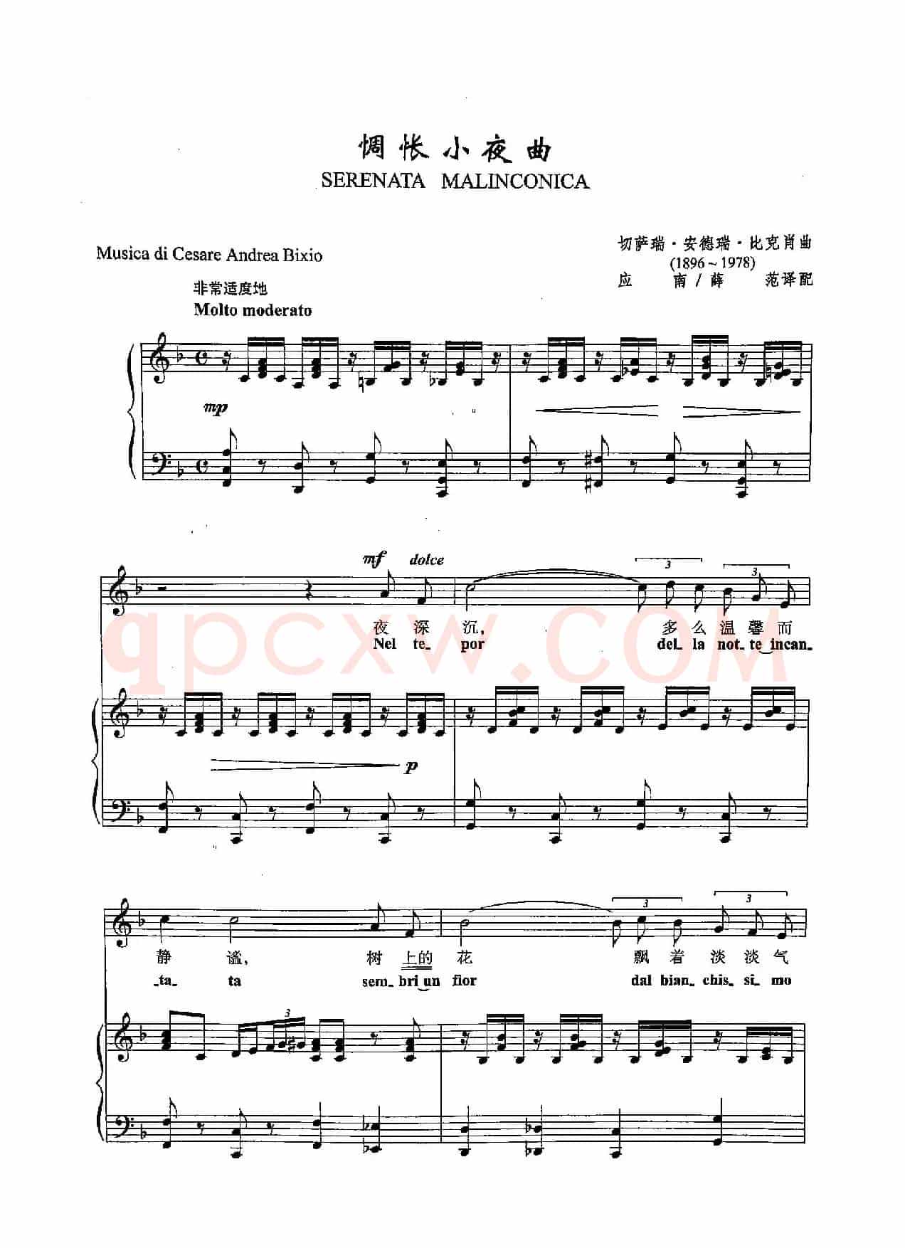 [意]28惆怅小夜曲（正谱）
