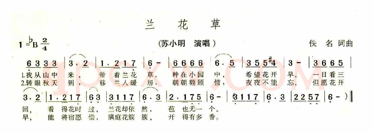 兰花草