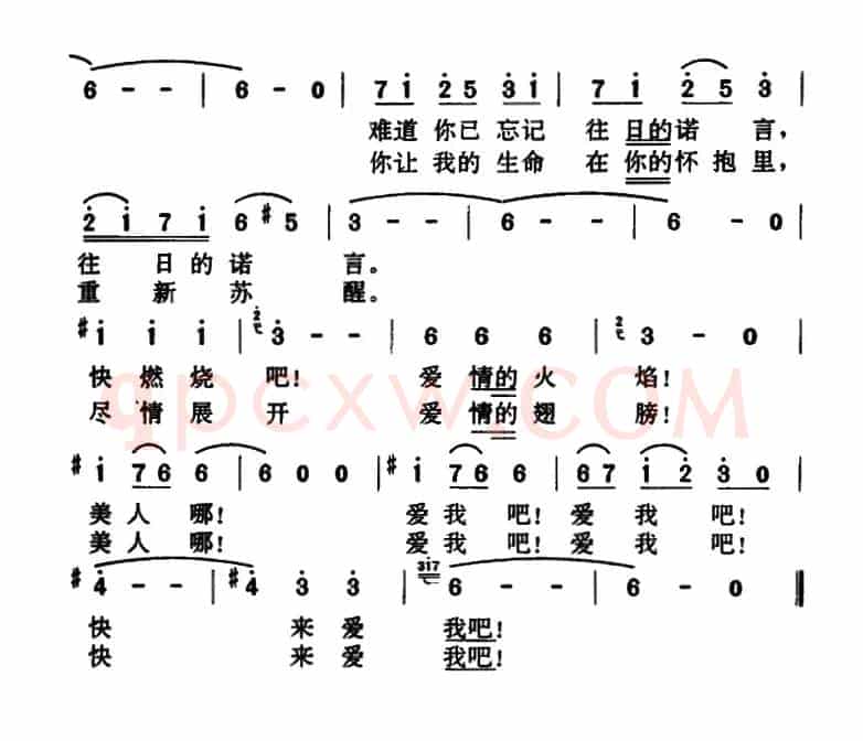 [法]尽情地爱我吧
