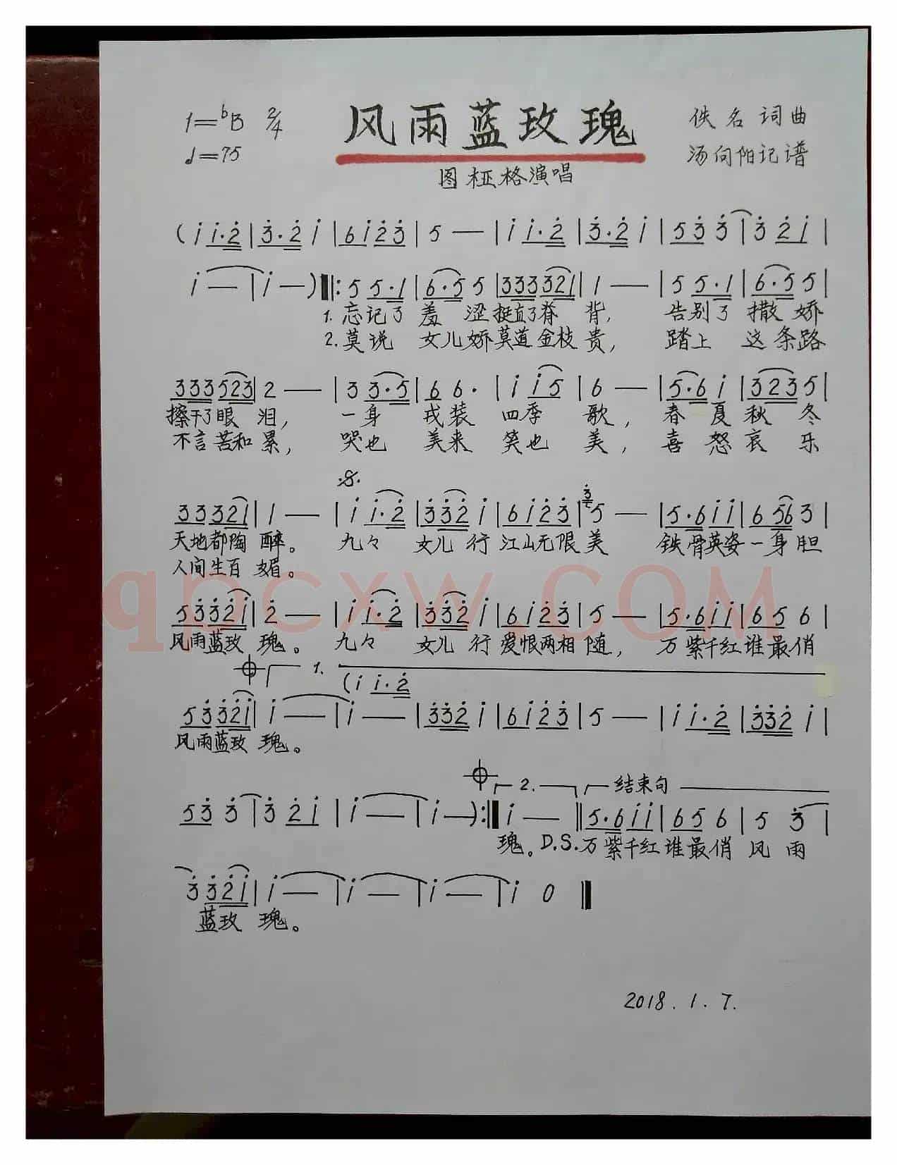 风雨蓝玫瑰