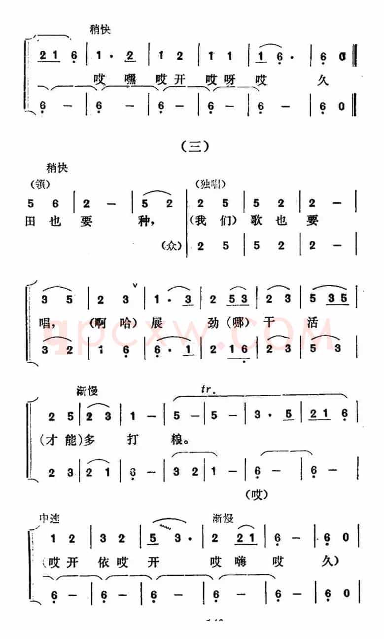 满山鲜花处处香