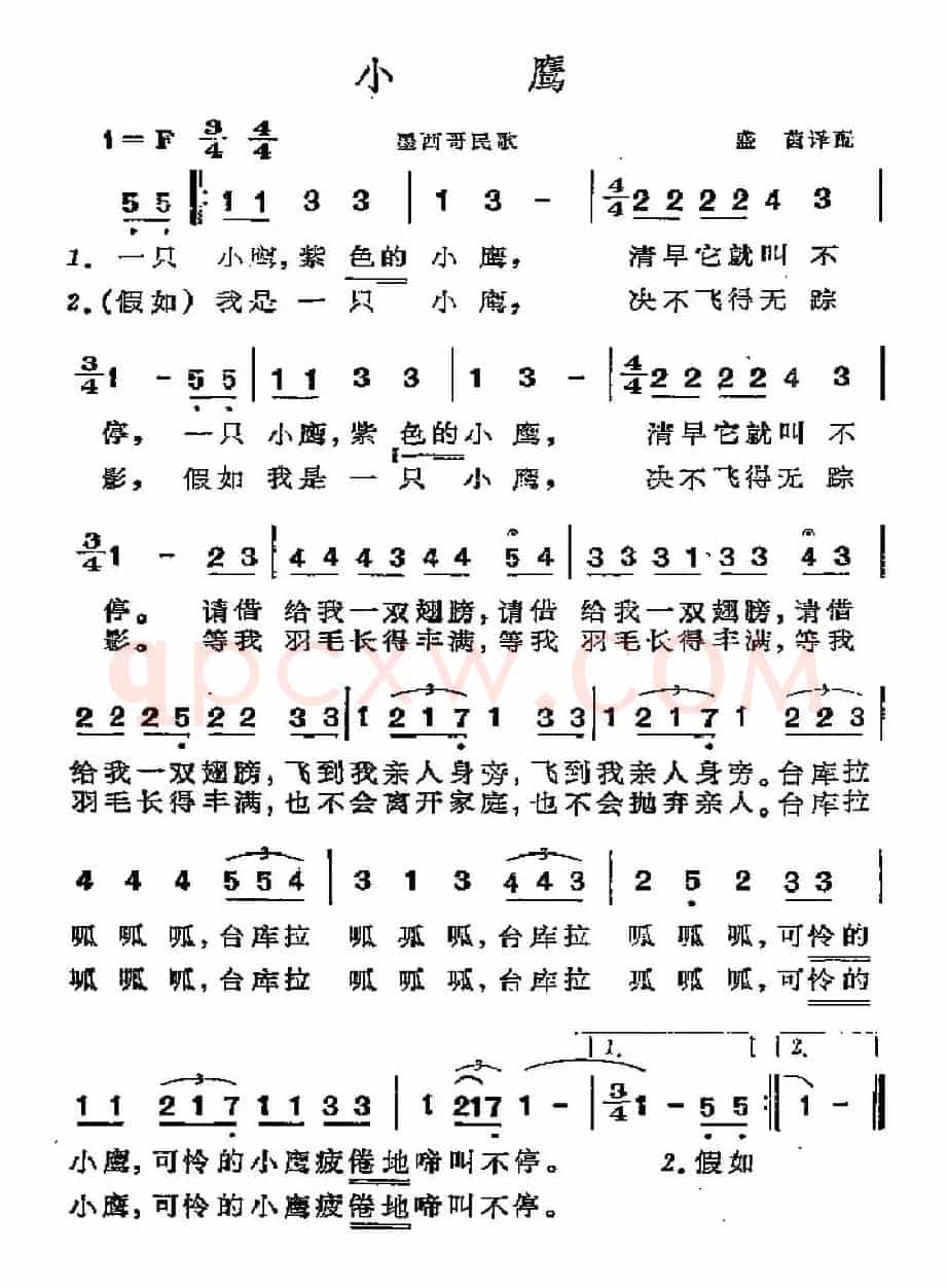 [墨西哥]小鹰
