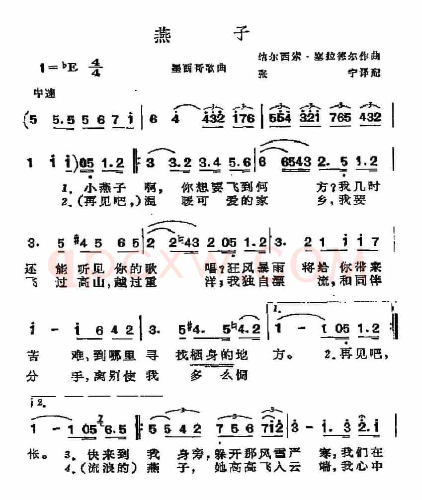 [墨西哥]燕子