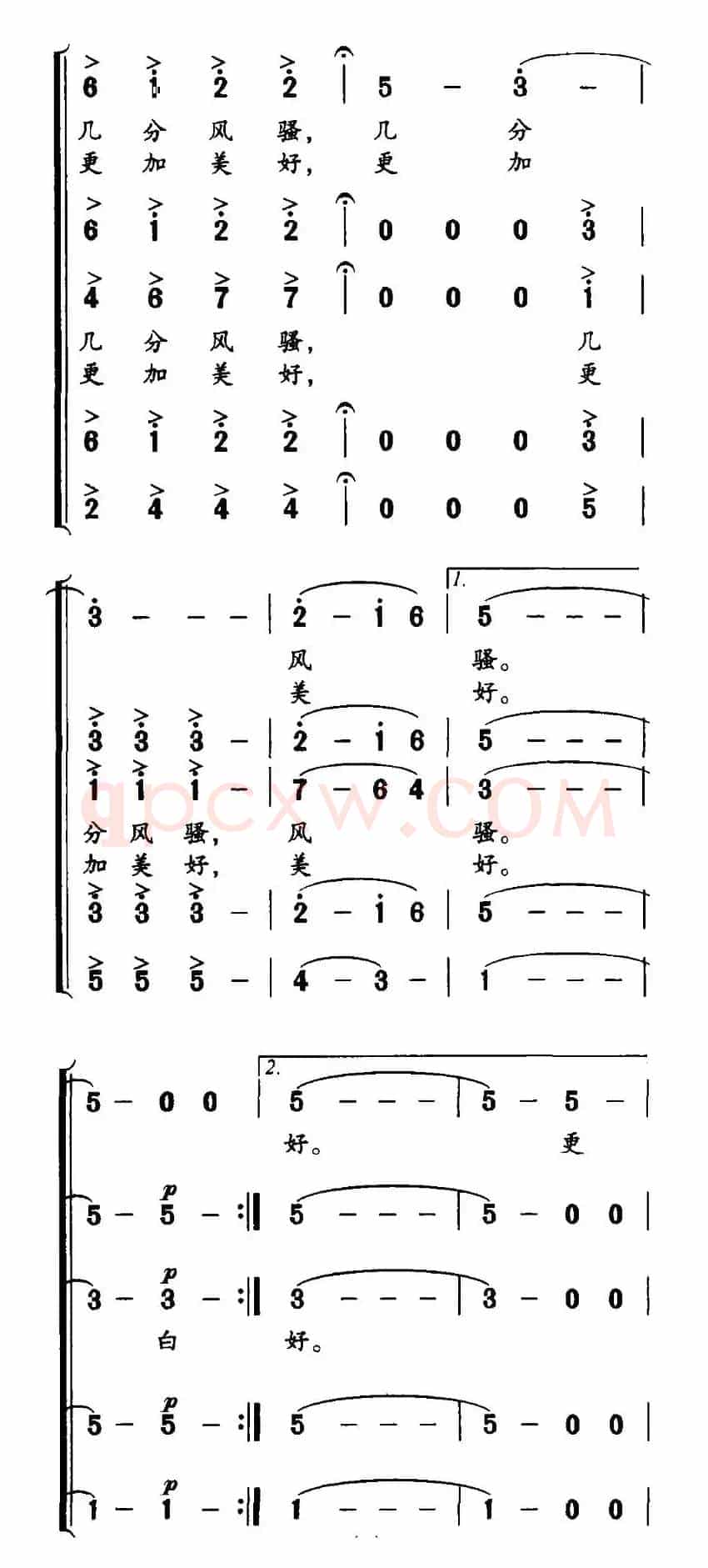 白鹭飞回来了