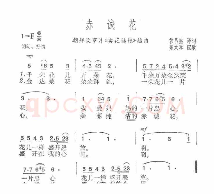 赤诚花