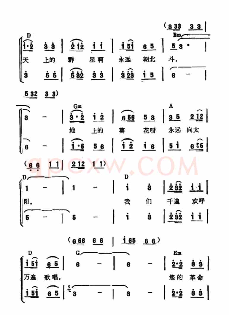 毛主席啊，我们永远忠于您