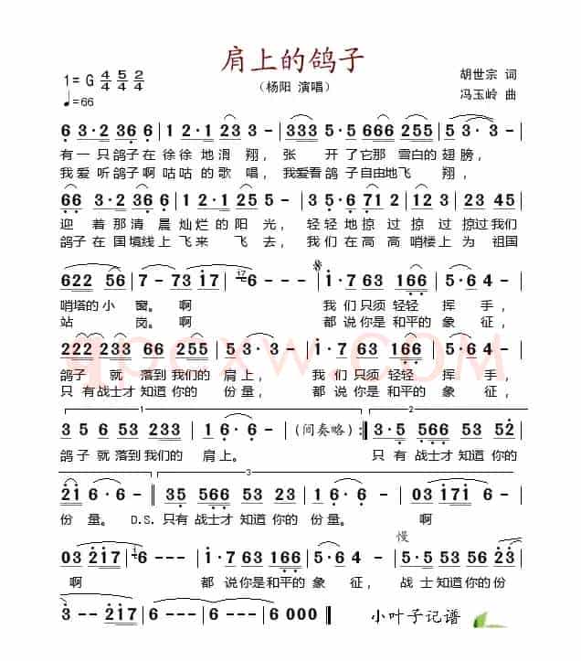 肩上的鸽子