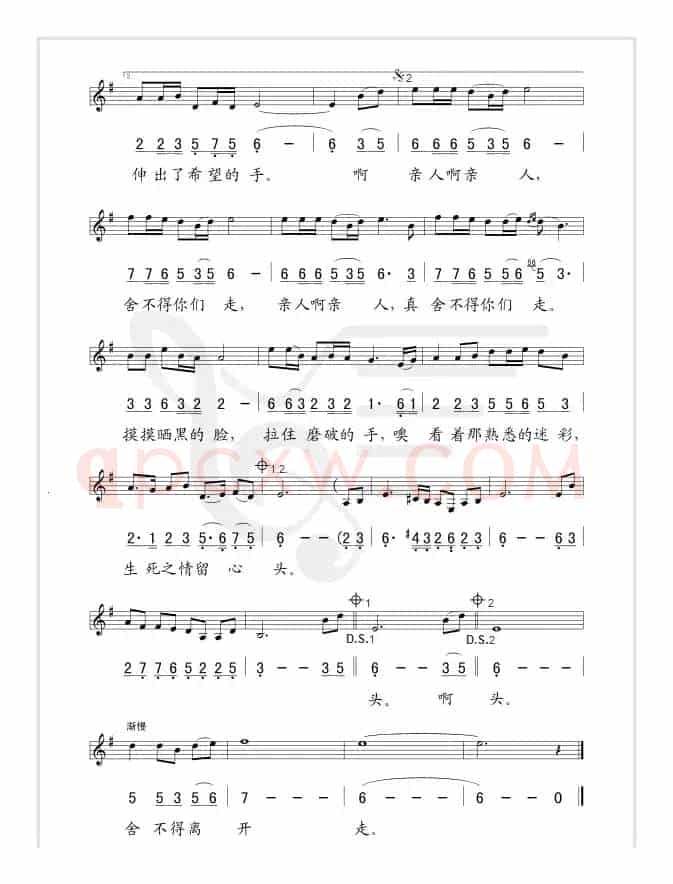 舍不得你们走(线、简谱混排版)