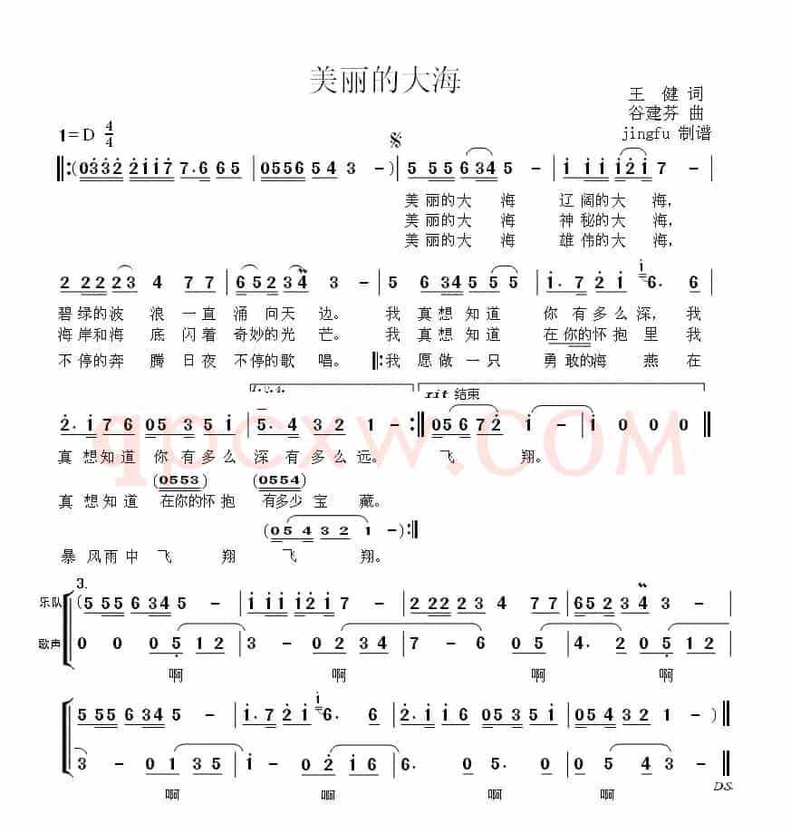 美丽的大海