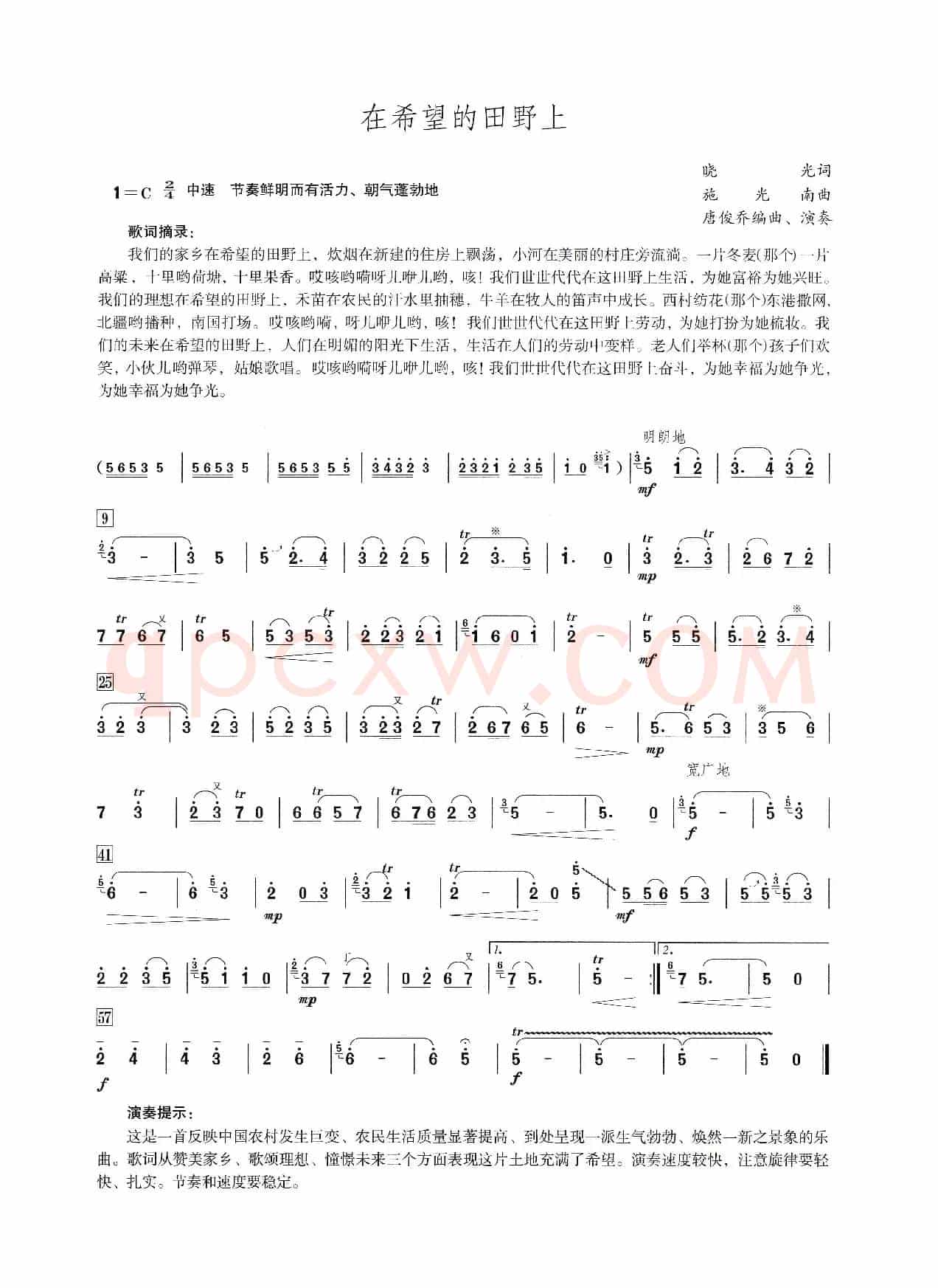 在希望的田野上（笛子演奏提示版）