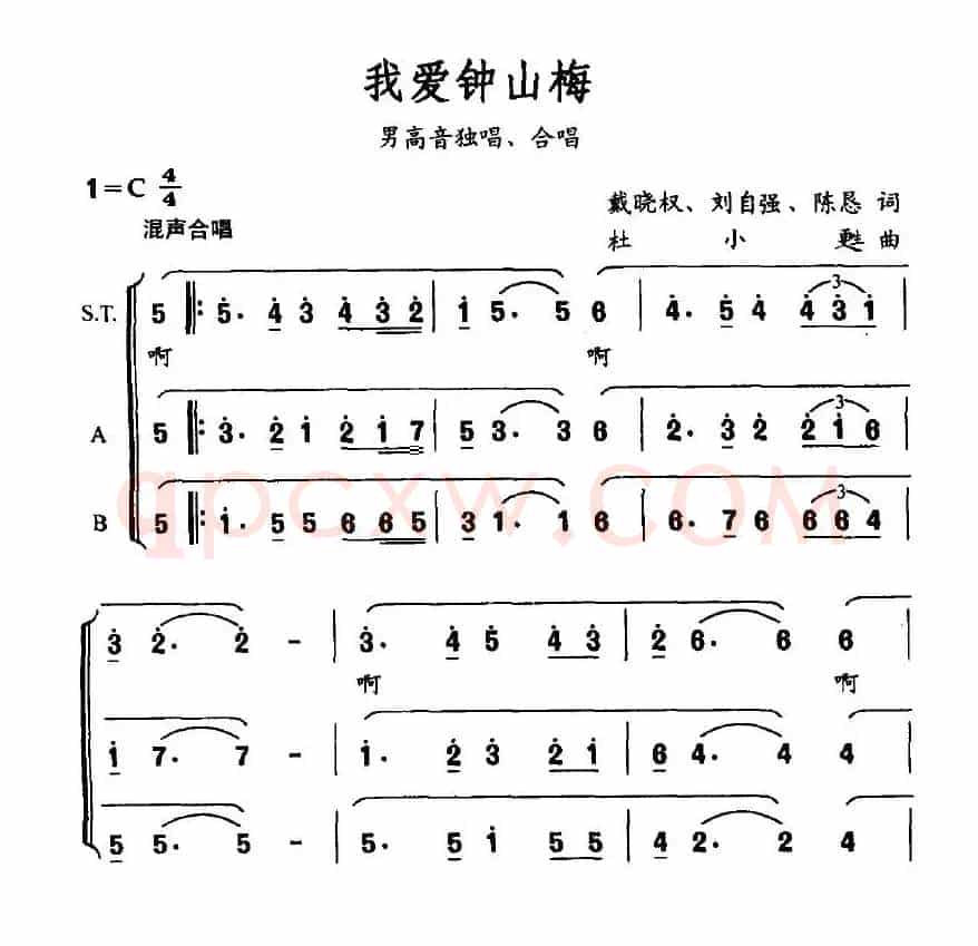 我爱钟山梅