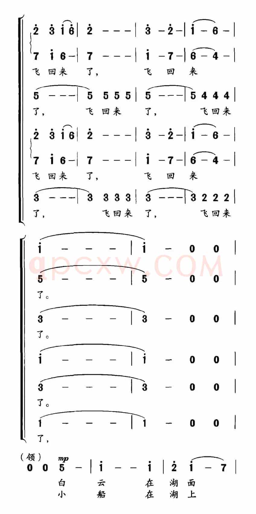 白鹭飞回来了
