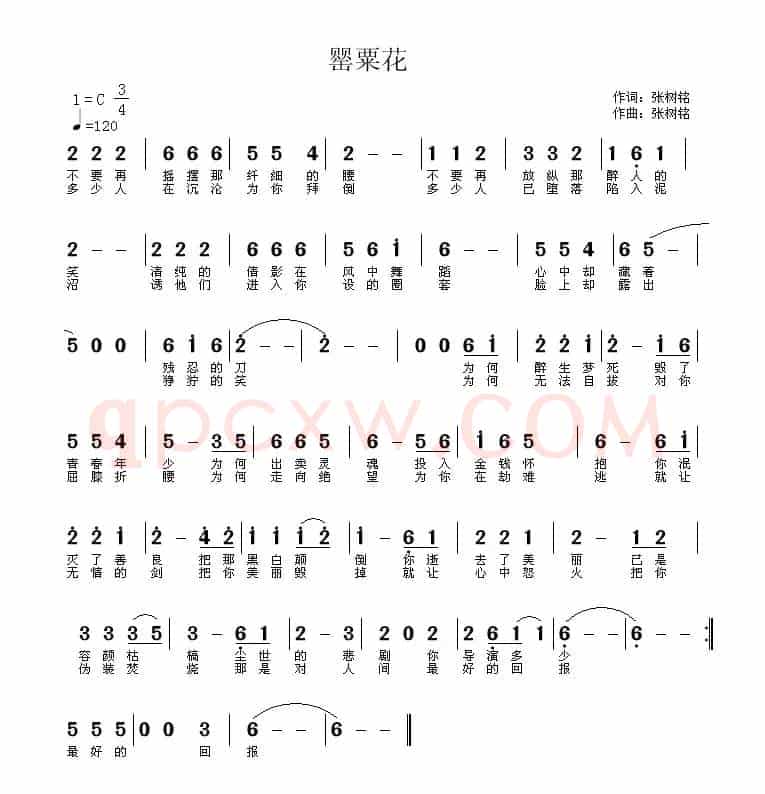 罂粟花