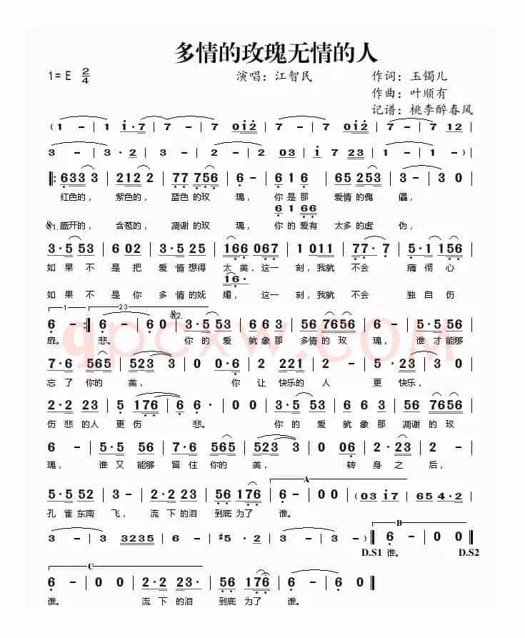 多情玫瑰无情人