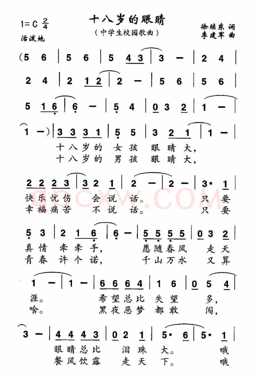 十八岁的眼睛