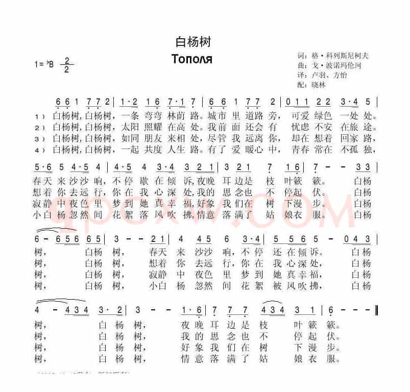 [俄]白杨树