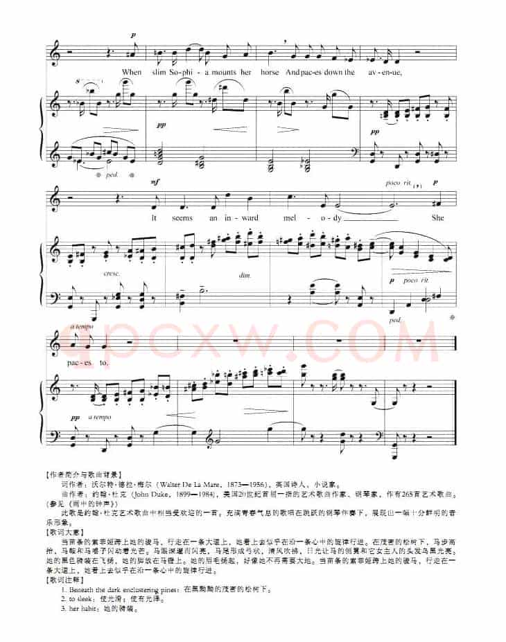 当苗条的索菲娅跨上她的骏马（正谱 [英、美]）