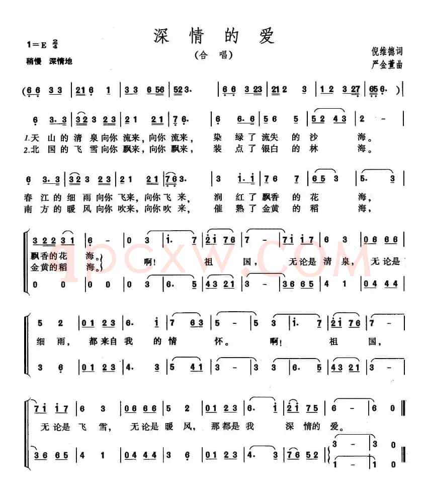 深情的爱
