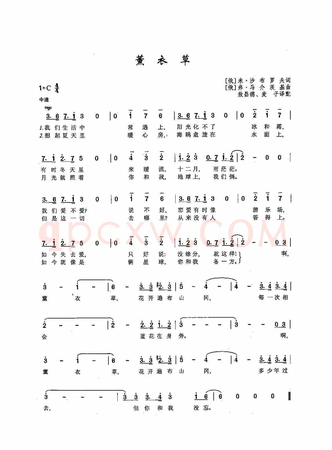 ​[俄]29薰衣草