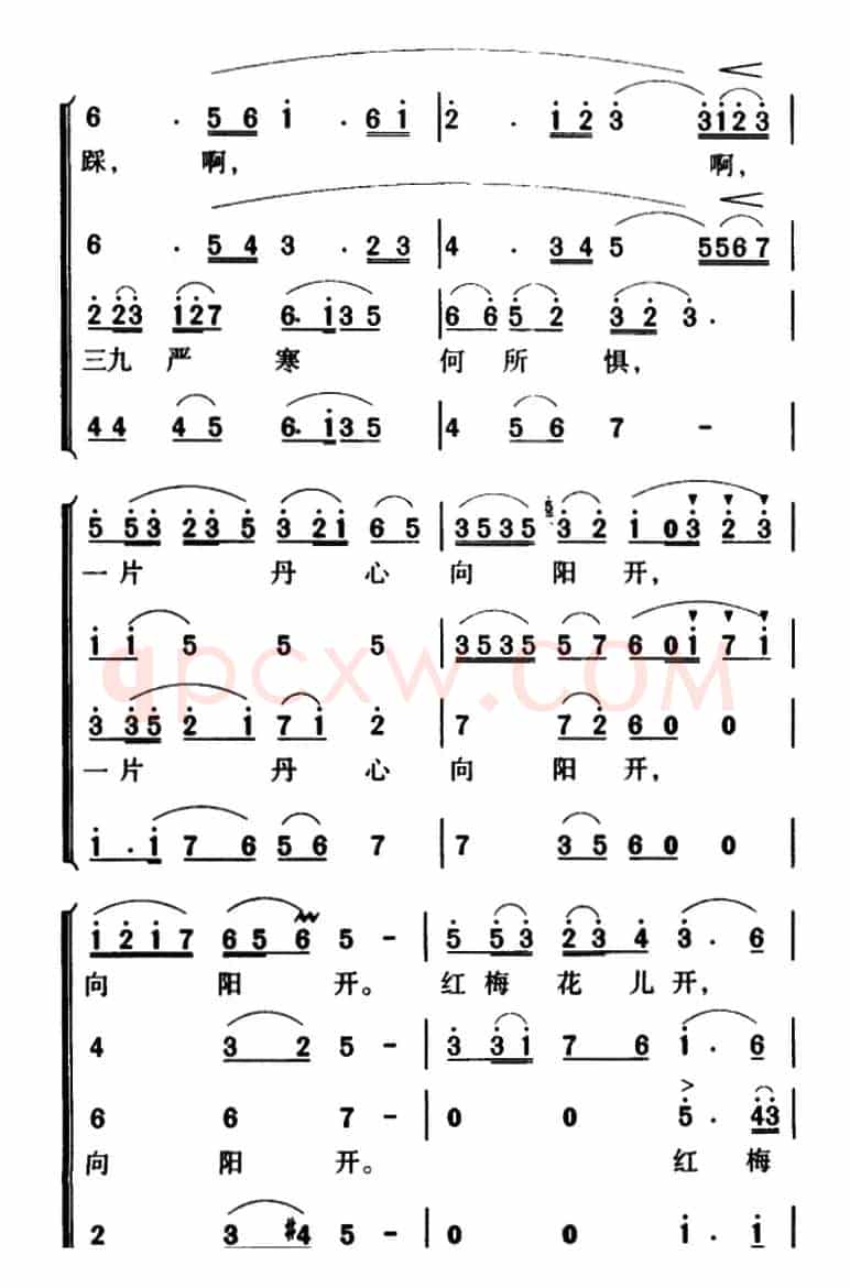 军歌金曲：红梅赞