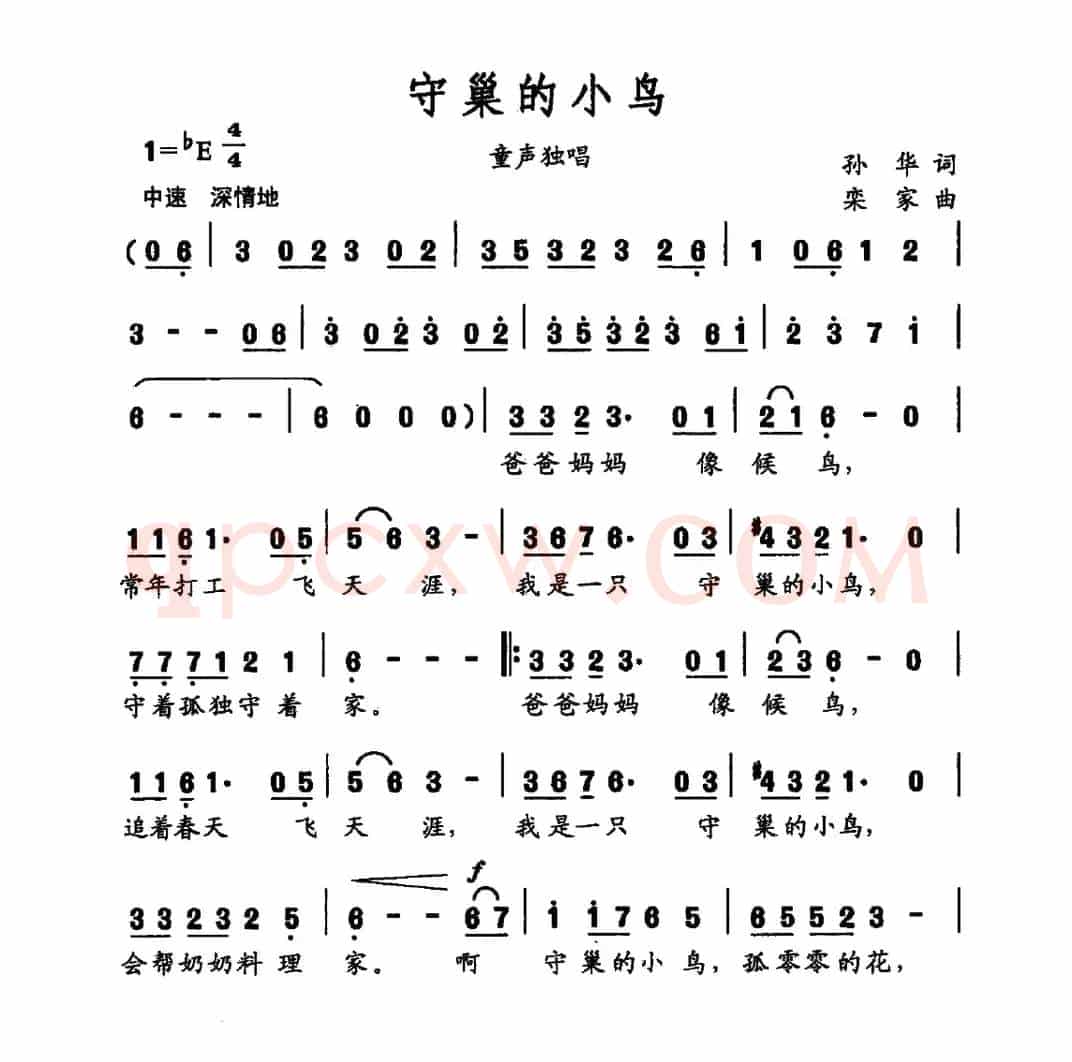 守巢的小鸟