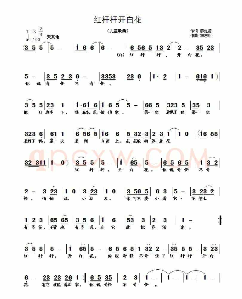 红杆杆开白花