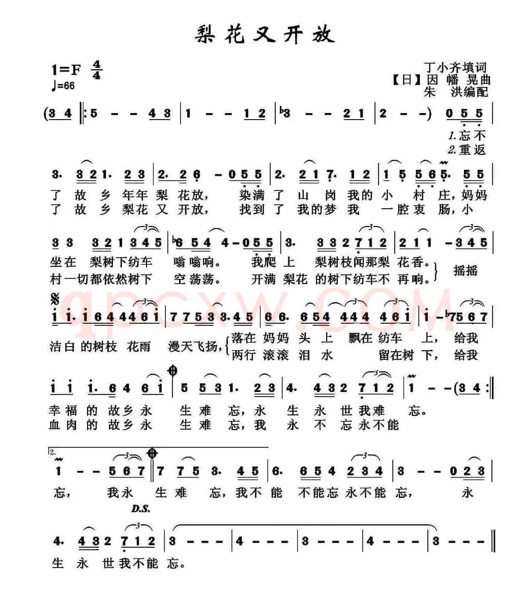 ​梨花又开放（丁小齐填词 [日]因幡晃曲）