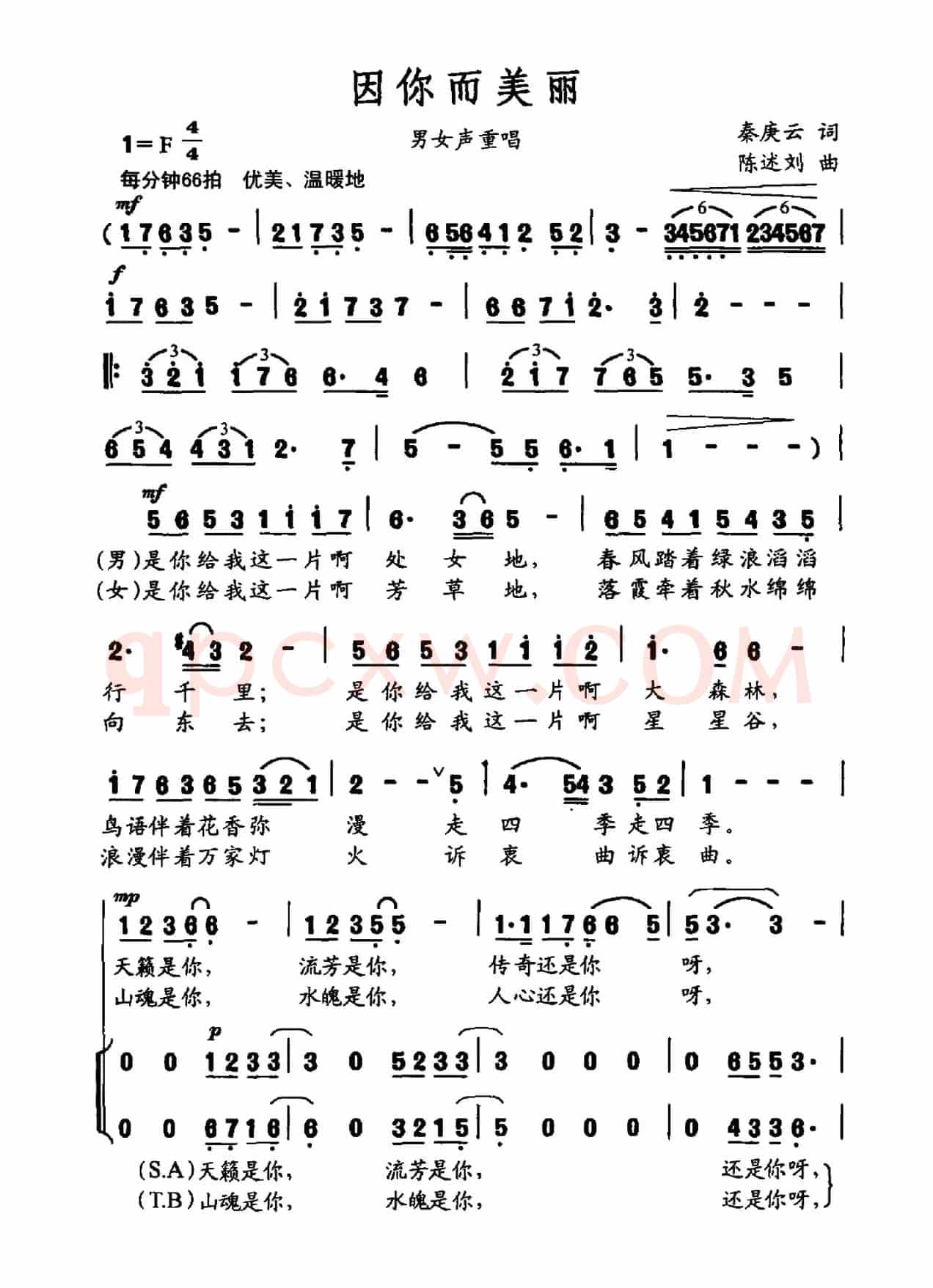 因你而美丽（秦庚云词 陈述刘曲）
