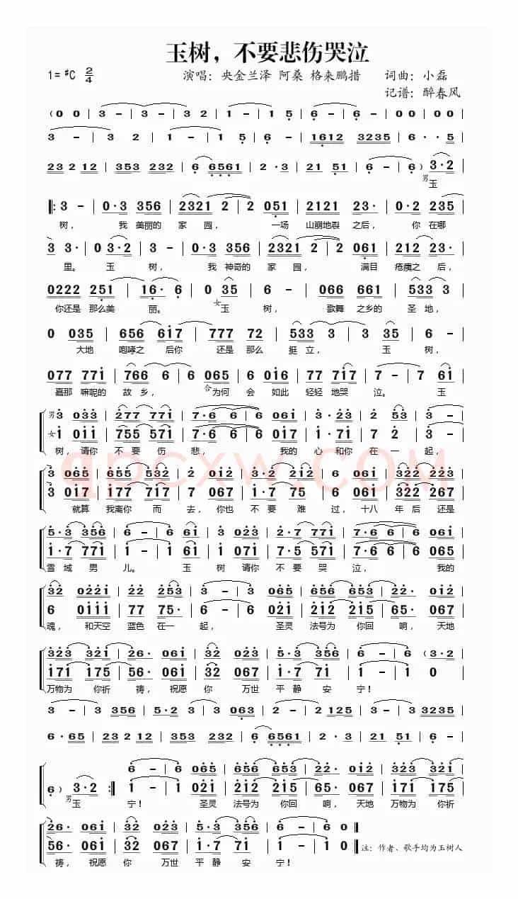 玉树，不要悲伤哭泣