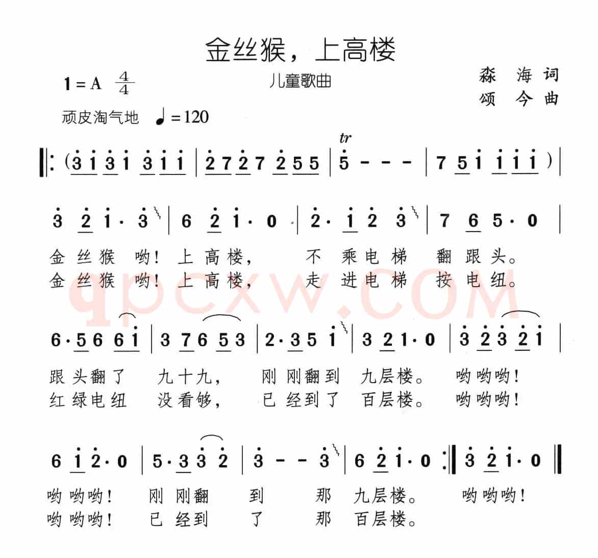 金丝猴，上高楼