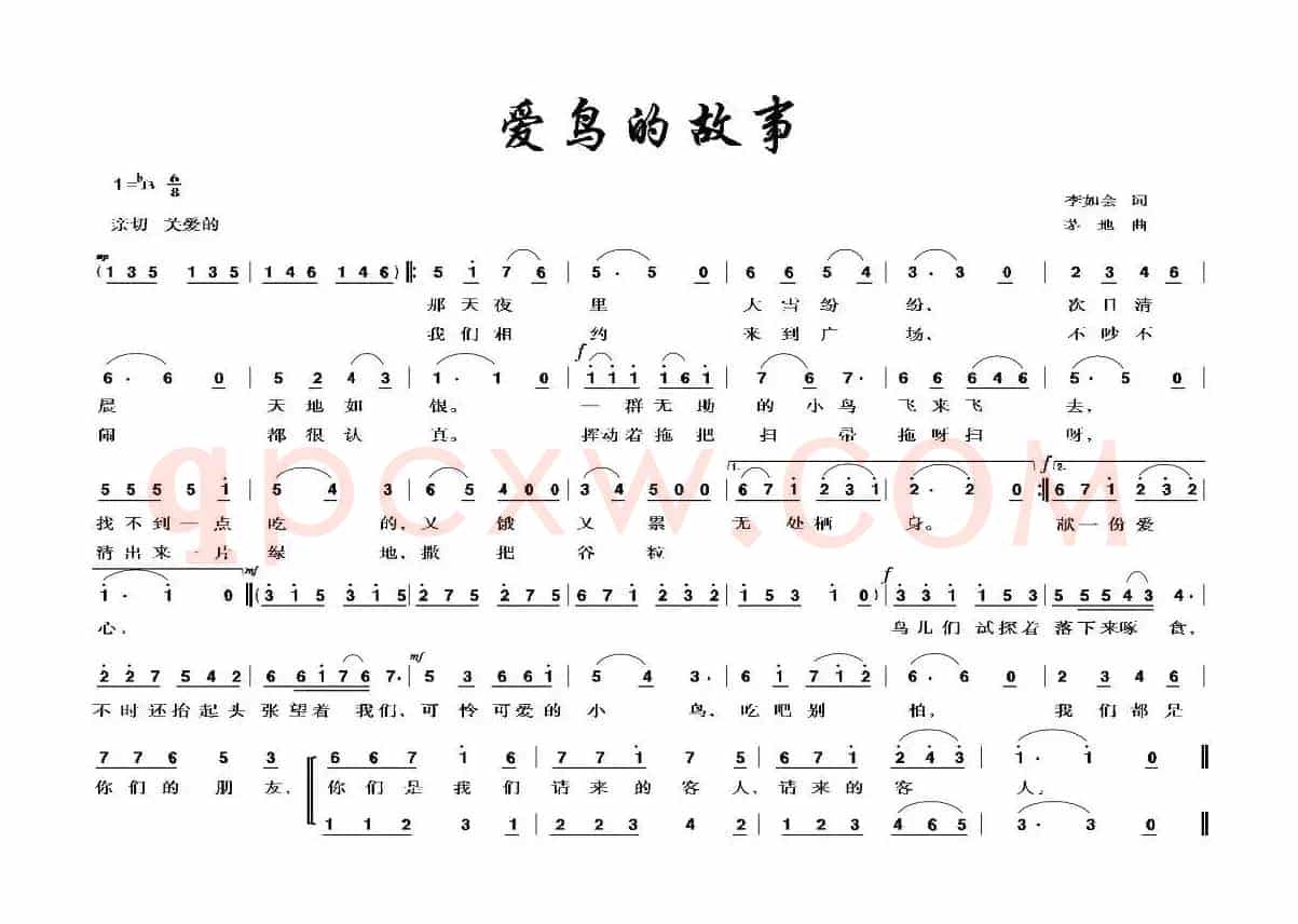 爱鸟的故事