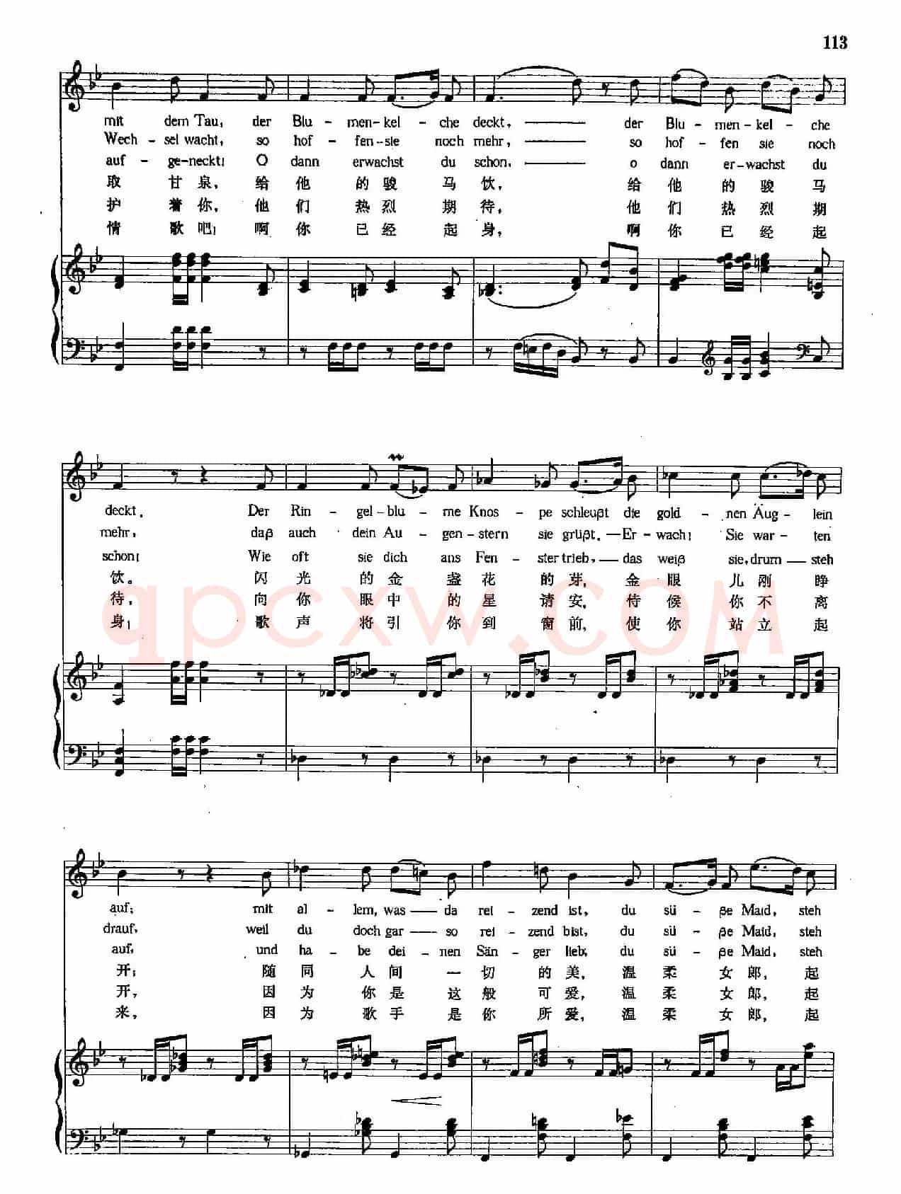 [奥]28小夜曲（听，听，云雀）（正谱）