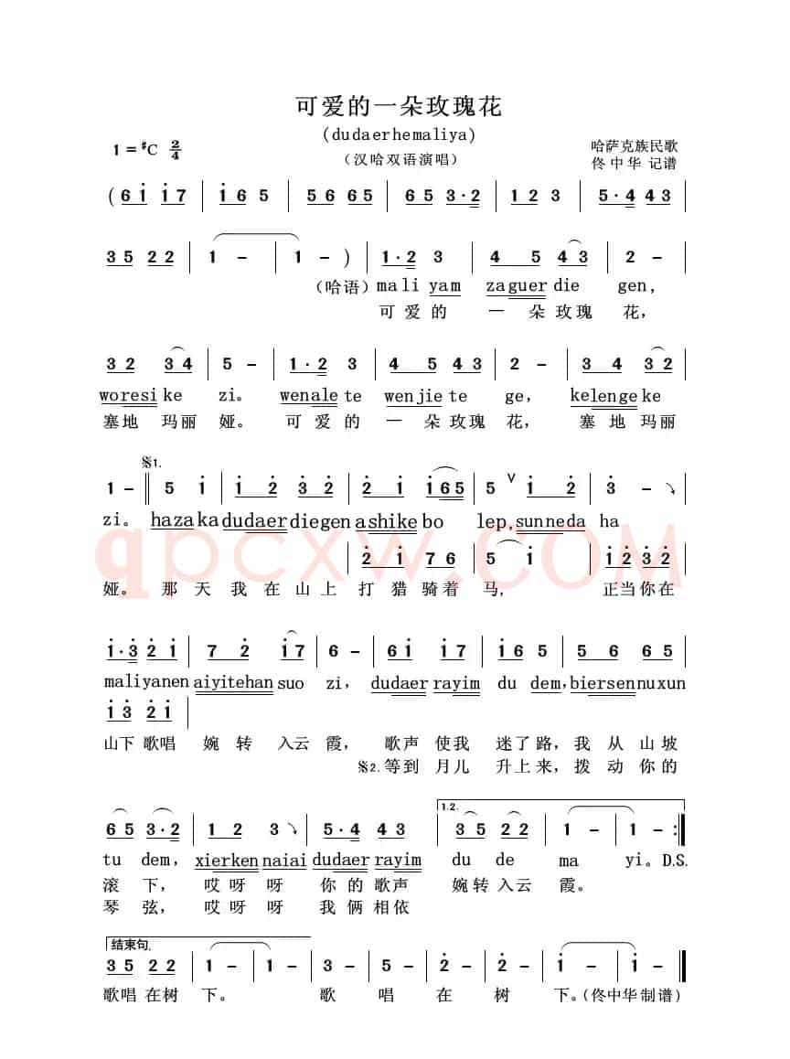 可爱的一朵玫瑰花（汉哈双语演唱）