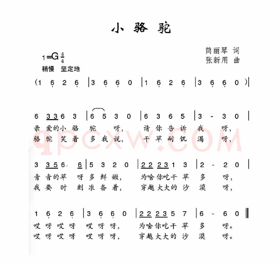 小骆驼