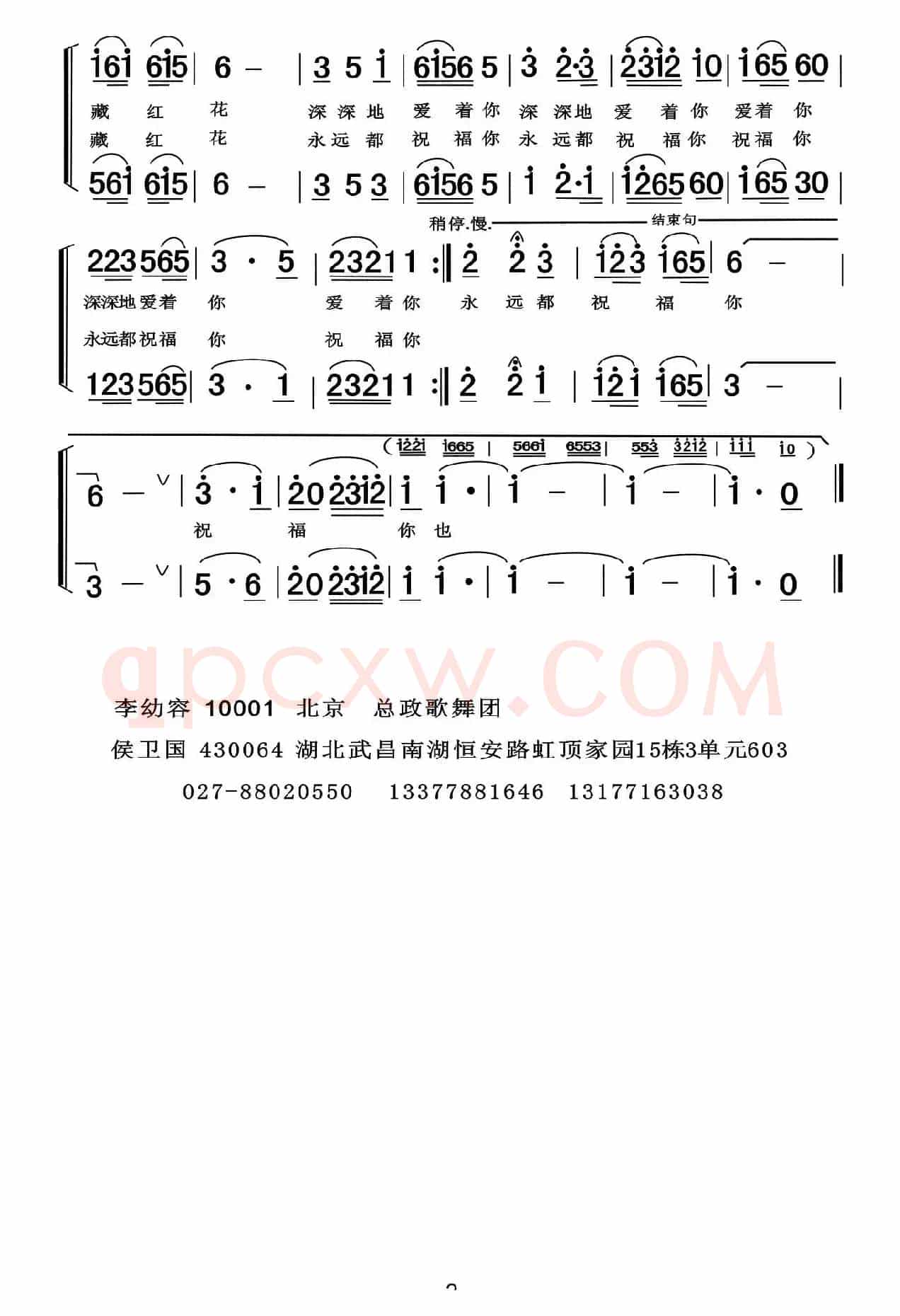 藏红花说我爱你(男女声二重唱)
