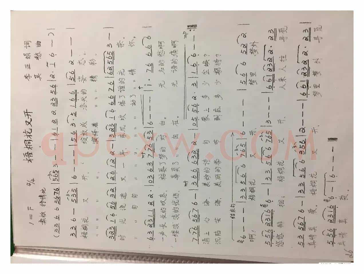 梧桐花又开