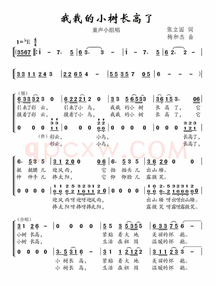 我栽的小树长高了（合唱）