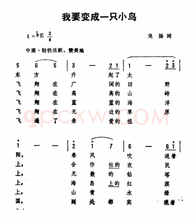 我要变成一只小鸟