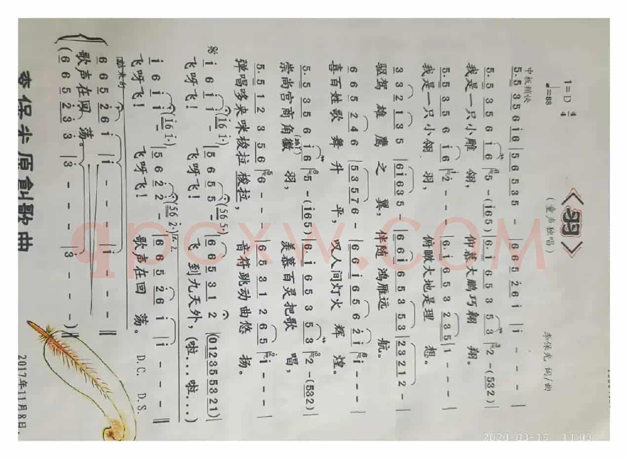 羽