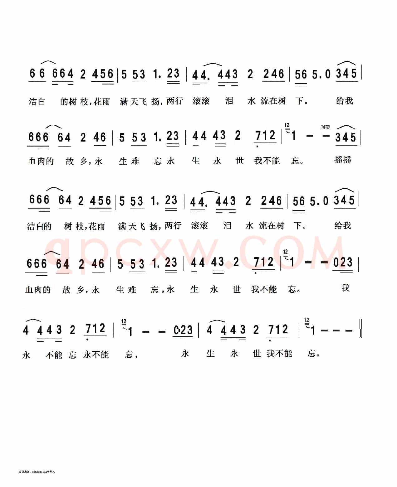 梨花又开放