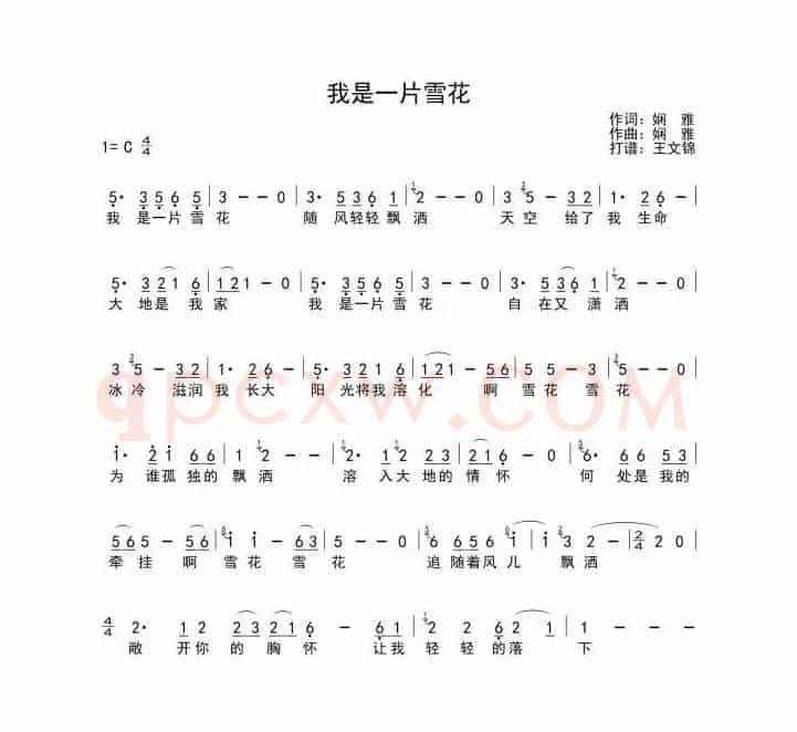 我是一片雪花