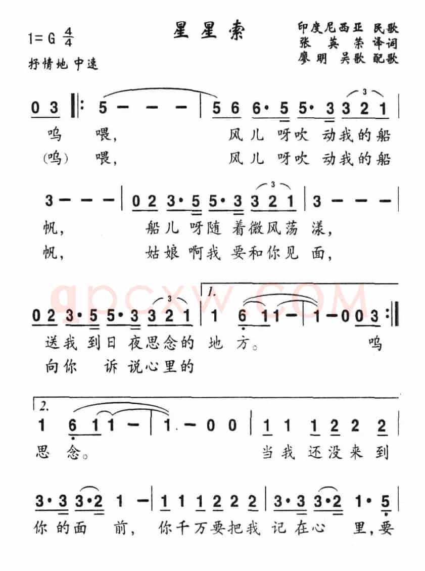 [印尼]星星索