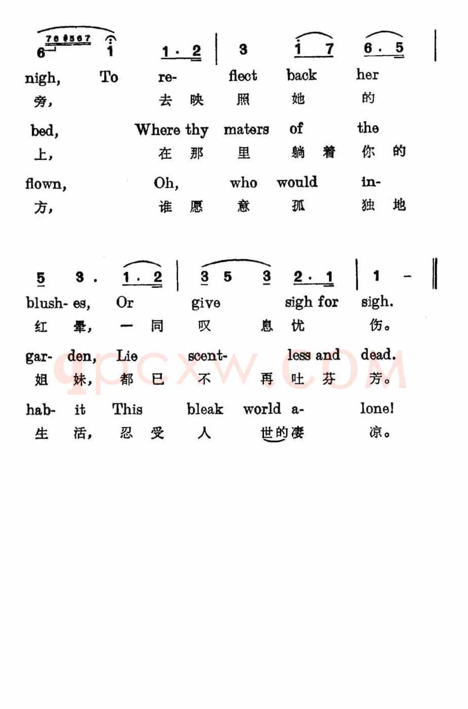 [爱尔兰]夏日里最后的玫瑰